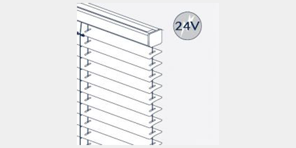 Batterie-Motor (24V)